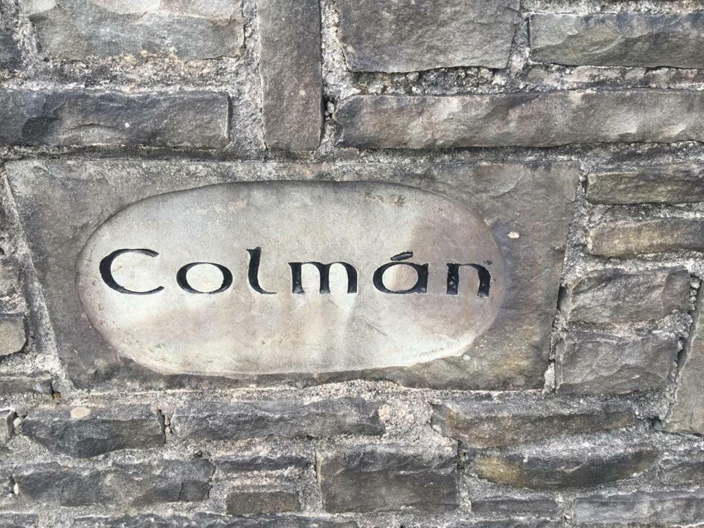 Colman House Bed & Breakfast Kilmihil Екстериор снимка